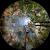 Ceiling artwork Mer Martin artwork of nature 360° above your head describe the nature of the Everglades photographer art design by Meir Martin.